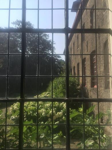 Zicht op de tuin